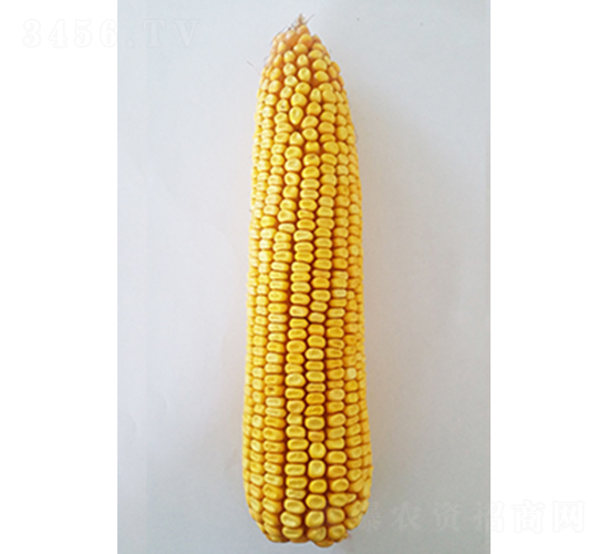 ���208-���׷N��-���N�I(y��)