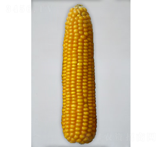 ���206-���׷N��-���N�I(y��)