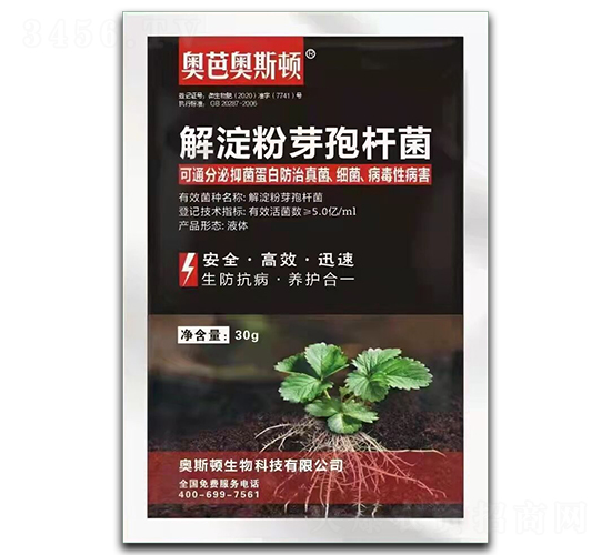 �����ѿ�ߗU��-�W�ŊW˹�D-�W˹�D