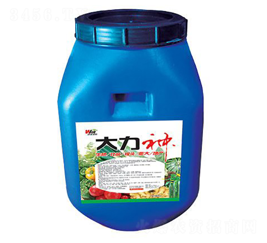 ������-���S���r(n��ng)-���S����