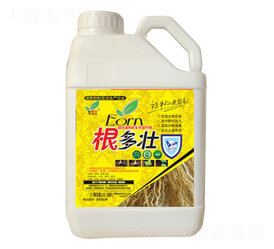 ������-���S����