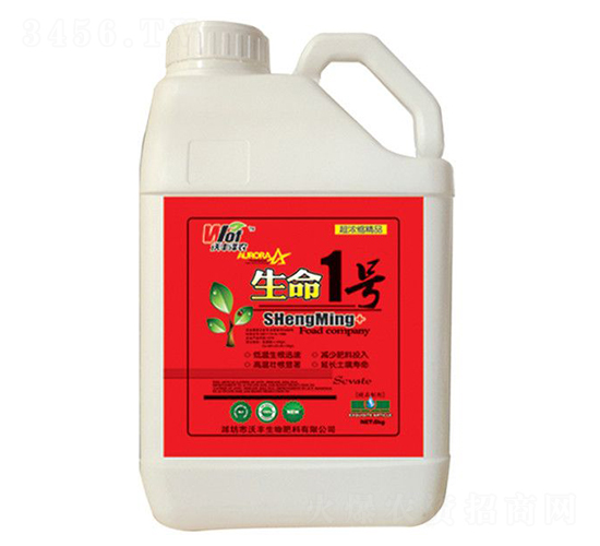 ����1̖-���S���r-���S����