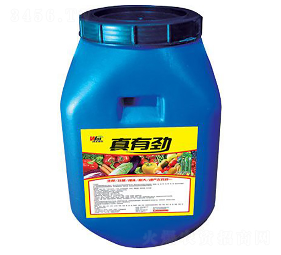 ���Є�-���S���r(n��ng)-���S����