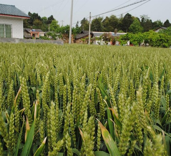 ������6̖-С���N��-�����r(n��ng)�I(y��)