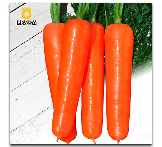 �t��-���}���N��-���r(n��ng)�N��