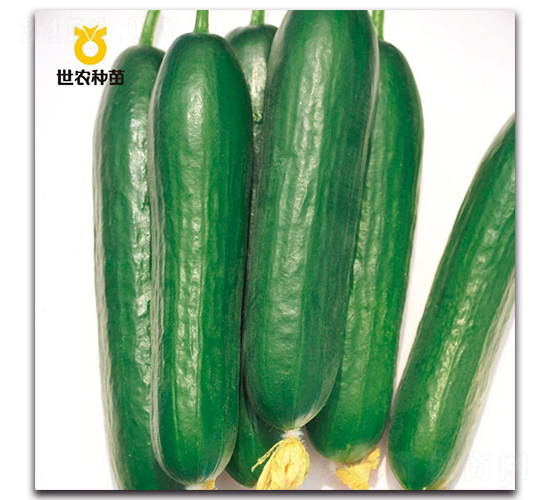 SN8309-�S�ϷN��-���r(n��ng)�N��