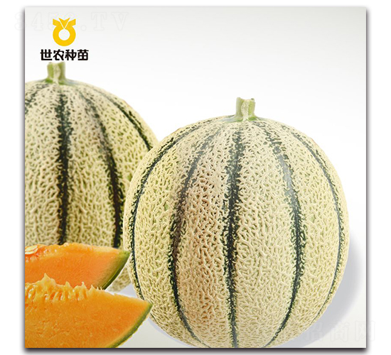 ���[-��ϷN��-���r(n��ng)�N��