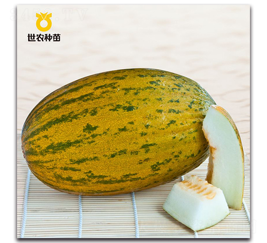 ��-��ϷN��-���r(n��ng)�N��