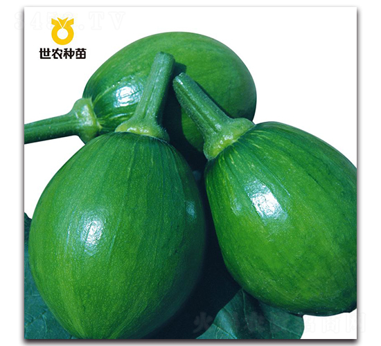 SNͨ��-�ϹϷN��-���r(n��ng)�N��