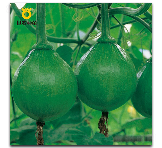 ���r(n��ng)����-�ϹϷN��-���r(n��ng)�N��