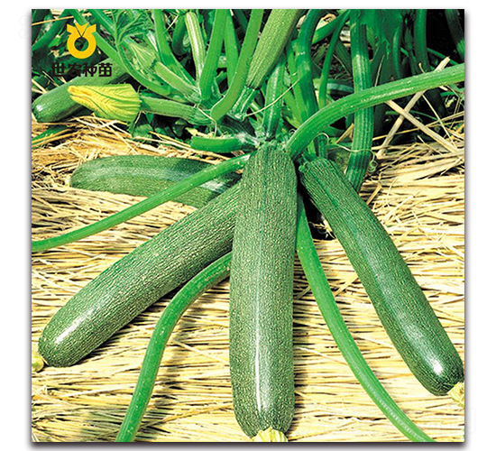 ̫�-�ϹϷN��-���r(n��ng)�N��