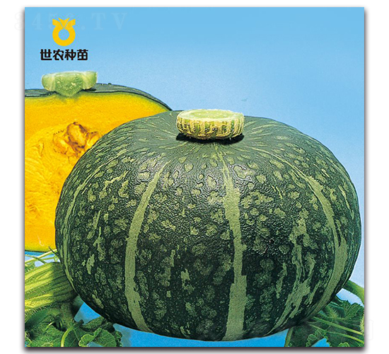 ����-�ϹϷN��-���r(n��ng)�N��