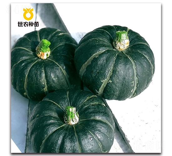 ����ؐؐ-�ϹϷN��-���r(n��ng)�N��