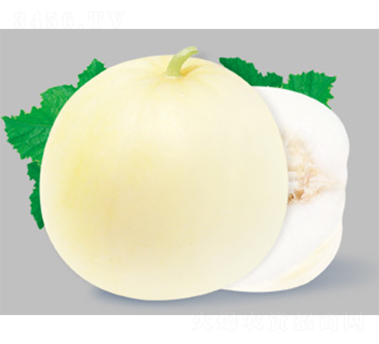 ��������-��ϷN��-����N�I(y��)