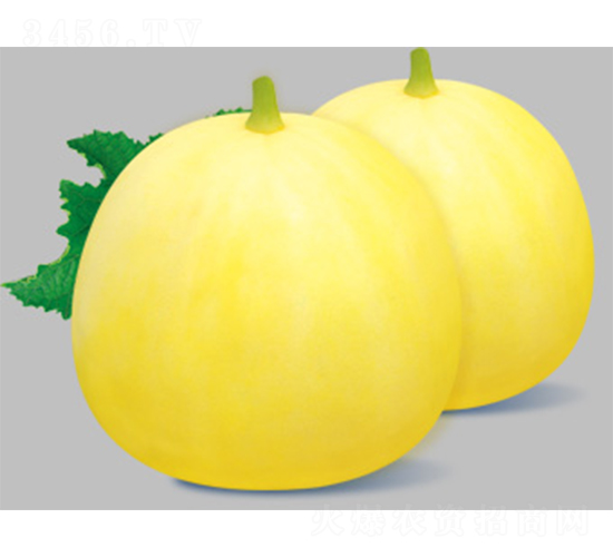 ����22-��ϷN��-����N�I(y��)