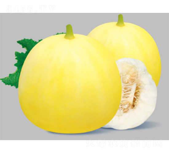 �ǳ�����-��ϷN��-����N�I(y��)