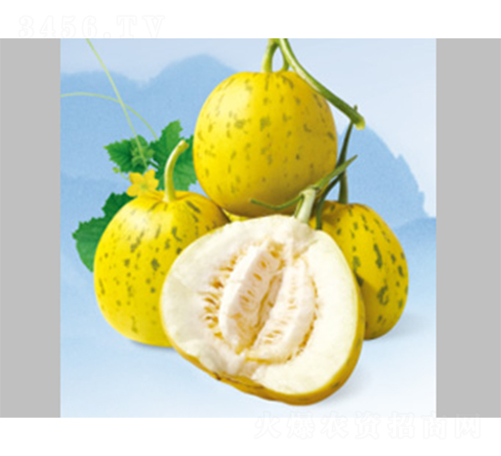 ���𱪼y-��ϷN��-����N�I(y��)