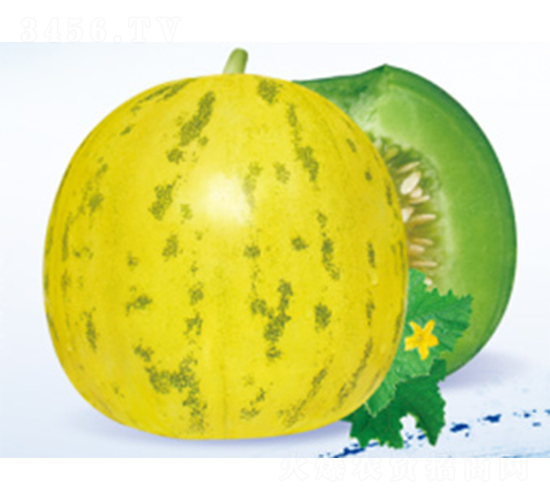 ����M����-��ϷN��-����N�I(y��)