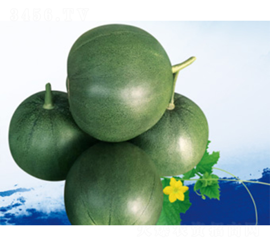 �������-��ϷN��-����N�I(y��)