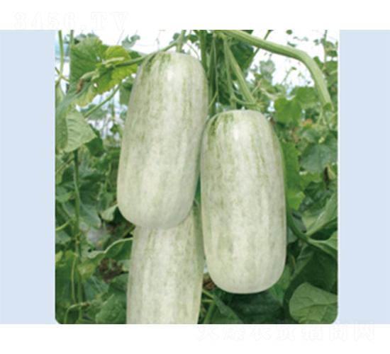 �����72-��ϷN��-����N�I(y��)