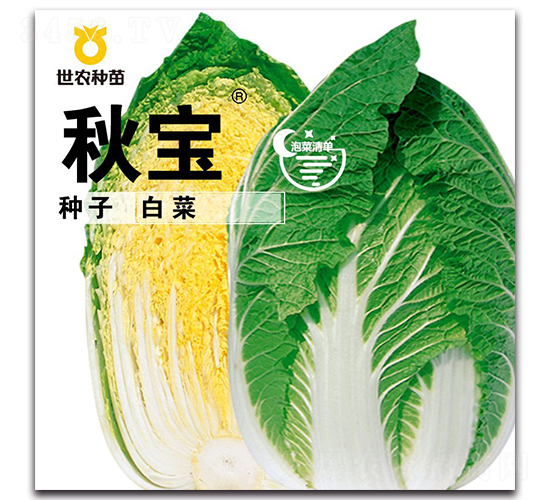 �-�ײ˷N��-���r(n��ng)�N��