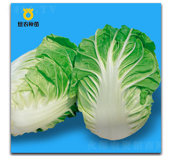 �Ĺ�-�ײ˷N��-���r(n��ng)�N��