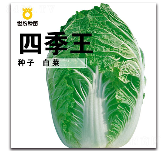 �ļ���-�ײ˷N��-���r(n��ng)�N��