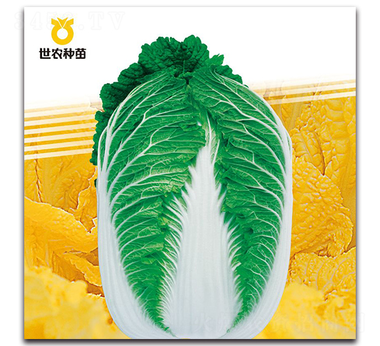 ���M�@-�ײ˷N��-���r(n��ng)�N��