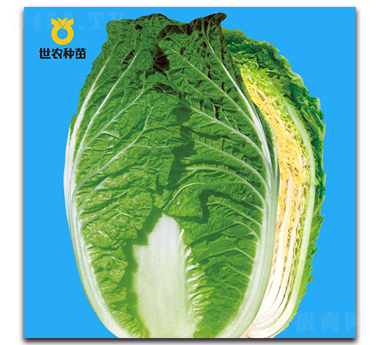 ӭ��526-�ײ˷N��-���r(n��ng)�N��