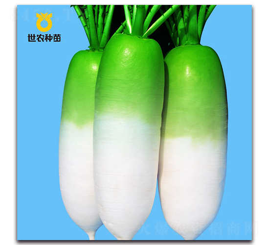 ���r(n��ng)816-�}���N��-���r(n��ng)�N��