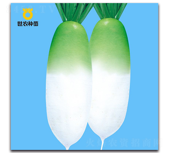 ����-�}���N��-���r(n��ng)�N��