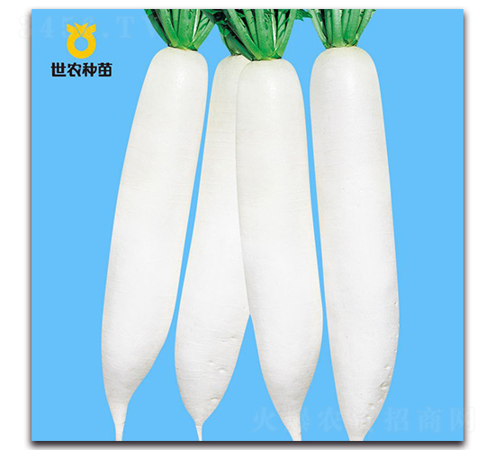 YR�°���-�}���N��-���r(n��ng)�N��