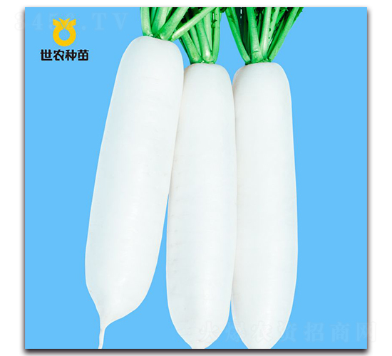 ѩ�`-�}���N��-���r(n��ng)�N��