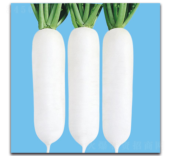 CR���r(n��ng)301-�}���N��-���r(n��ng)�N��