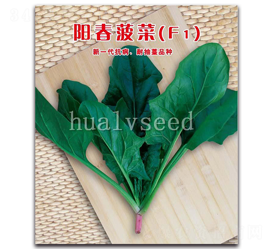 ꖴ�����F1-���˷N��-�A�G