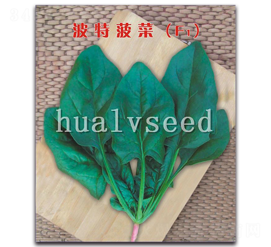 ���ز���F1-���˷N��-�A�G