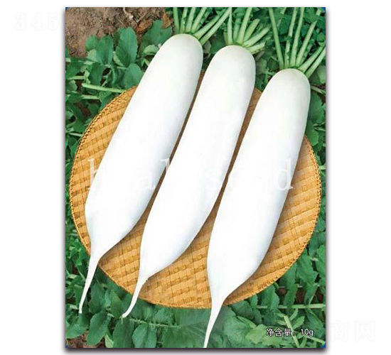 ������-�}���N��-�A�G