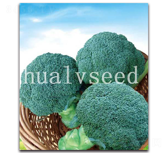 ��ɽ-���m���N��-�A�G