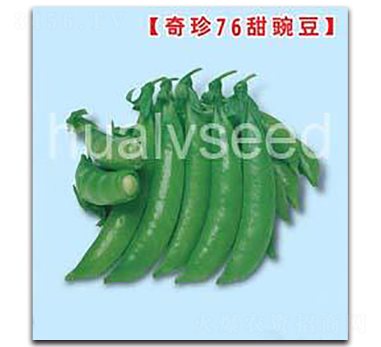 �A�G76���㶹-���㶹�N��-�A�G