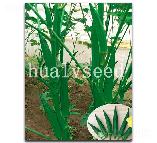 ��G����S���-�S����N��-�A�G