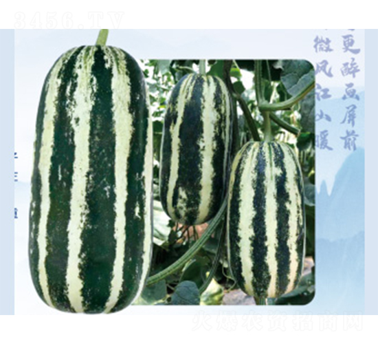 �����91-��ϷN��-����N�I(y��)