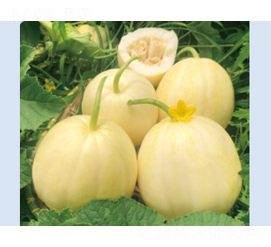 �S����̖-��ϷN��-����N�I(y��)