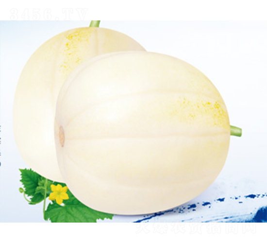 ����-��ϷN��-����N�I(y��)