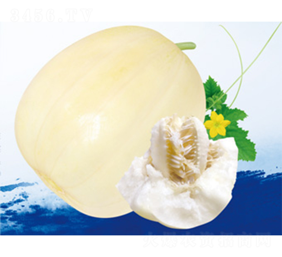 �S��һ̖(h��o)-��ϷN��-����N�I(y��)