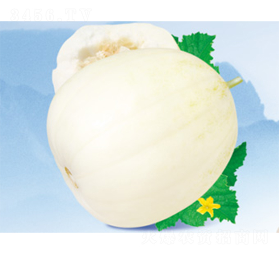 ����һ̖-��ϷN��-����N�I(y��)