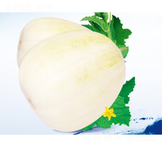 ������̖-��ϷN��-����N�I(y��)