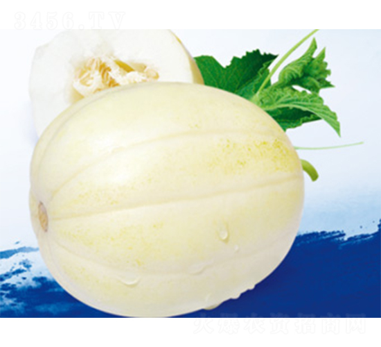 ������������-��ϷN��-����N�I(y��)