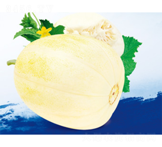 ����-��ϷN��-����N�I(y��)