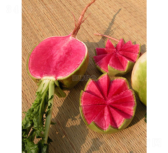 ��M�t�s���}��-�}���N��-��(gu��)�зN�I(y��)