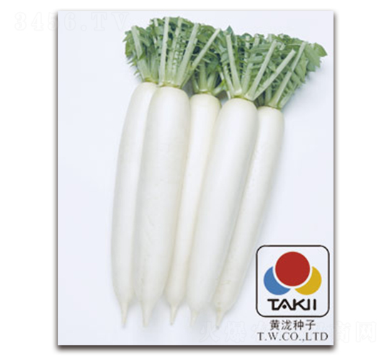 ��ѩ-�}���N��-�S�{�N��